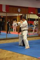 Bild (14)
